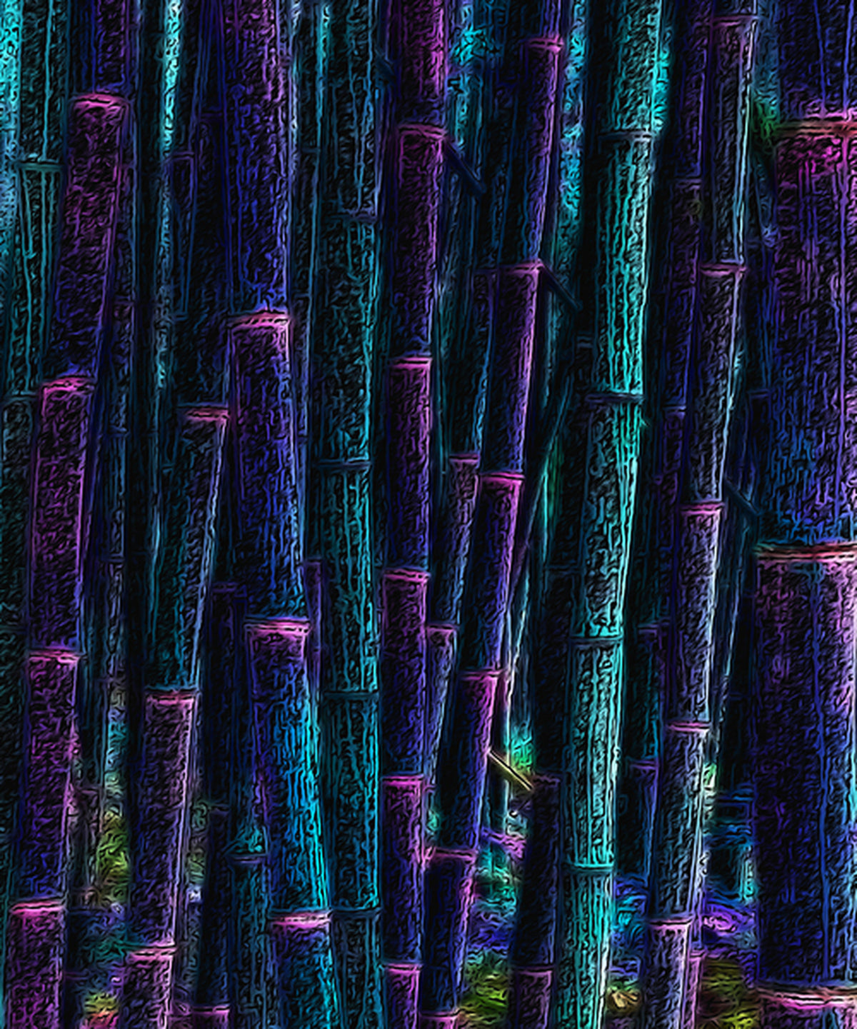 Aperçu encadré de BAMBOO - 1.0 (BAMBOU - 1.0)
