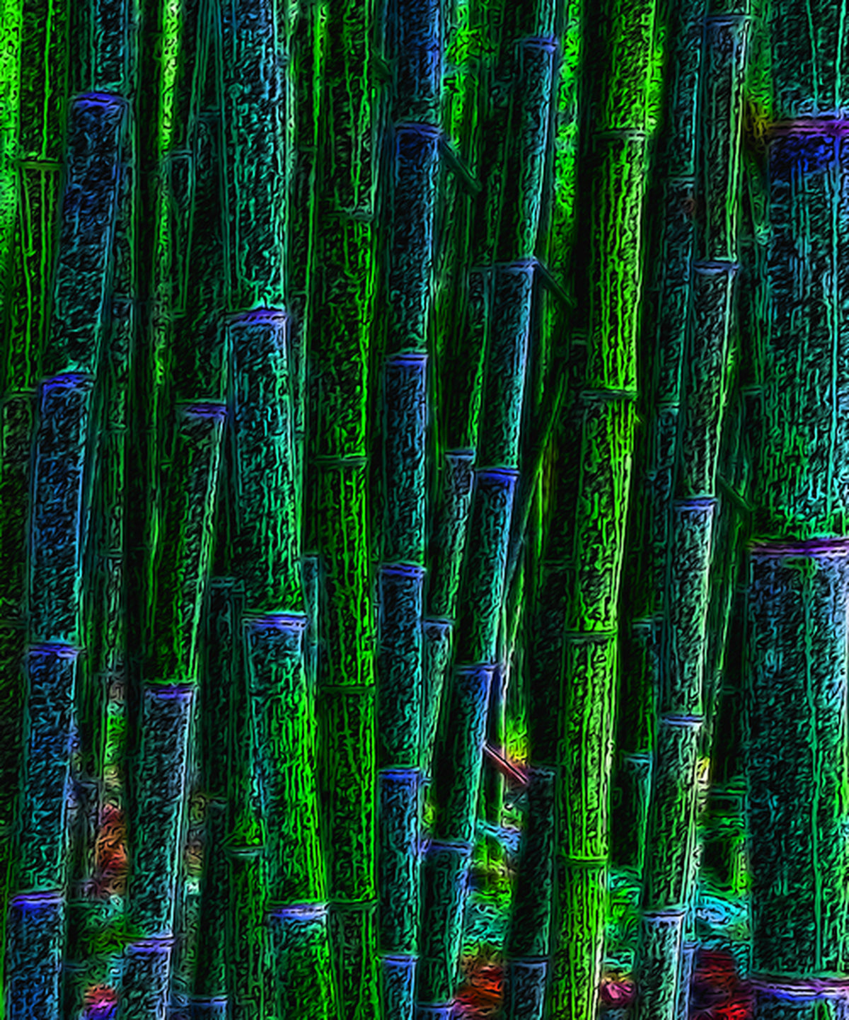 Aperçu encadré de BAMBOO - 1.1 (BAMBOU - 1.1)