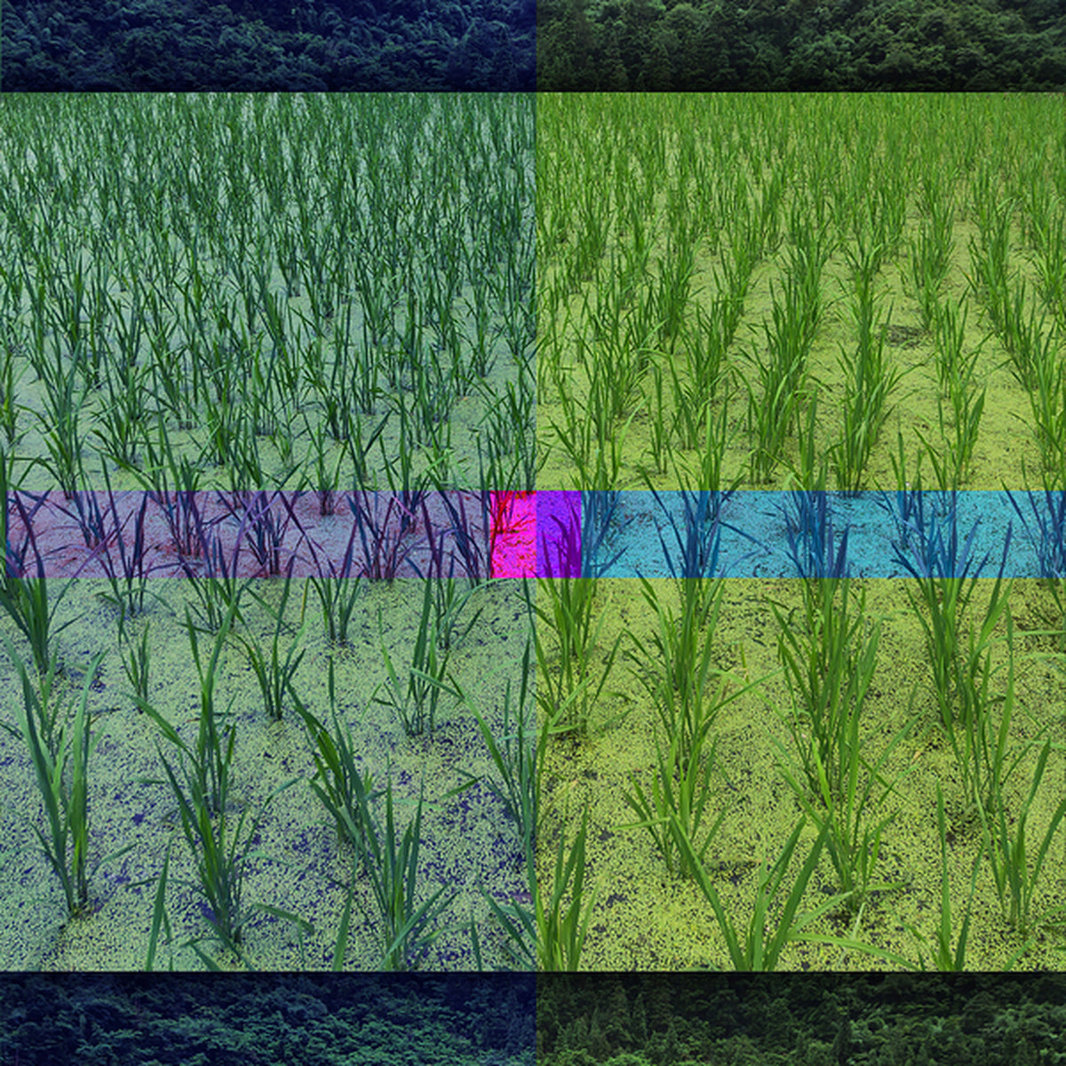 FIELD - 1.3(场 - 1.3) — 装框预览