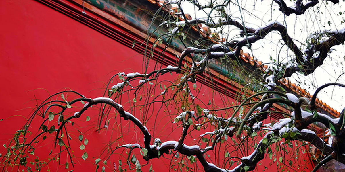 Aperçu encadré de WINTER CHINA - 1.3 (CHINE D’HIVER - 1.3)