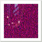 INFERENCE - 0.5 - framed print