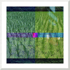 FIELD - 1.3 - framed print