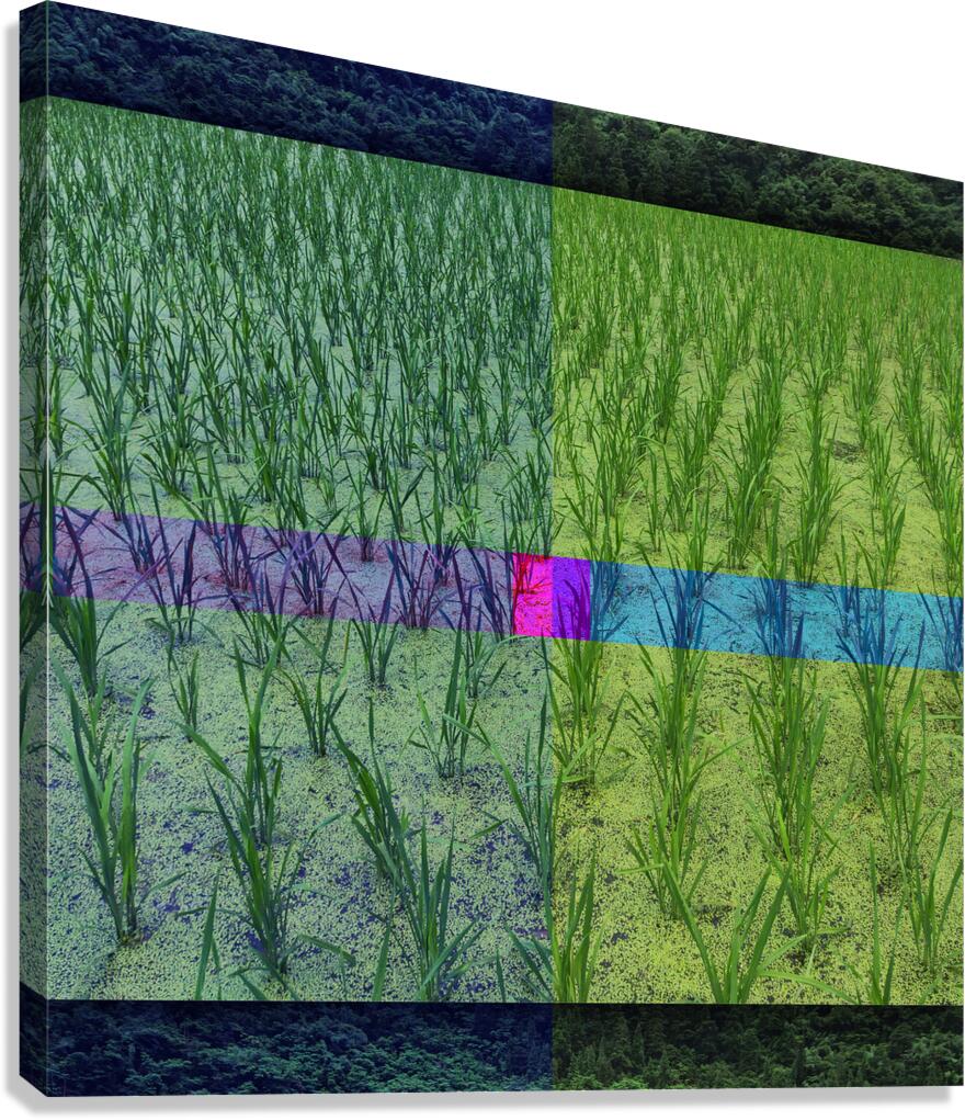FIELD - 1.3 - canvas print