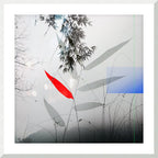 MEDITATION - 1.3 - framed print
