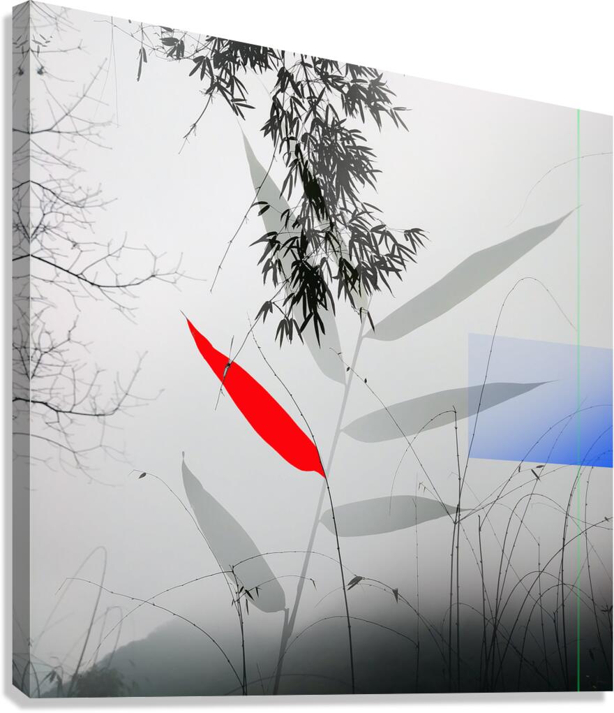 MEDITATION - 1.3 - canvas print