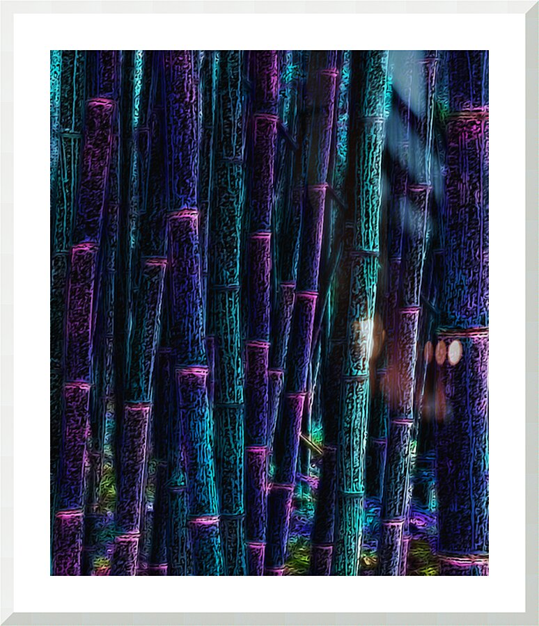 BAMBOO - 1.0 - framed print