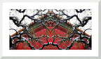 WINTER CHINA - 1.1 - framed print
