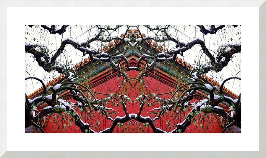 WINTER CHINA - 1.1 - framed print