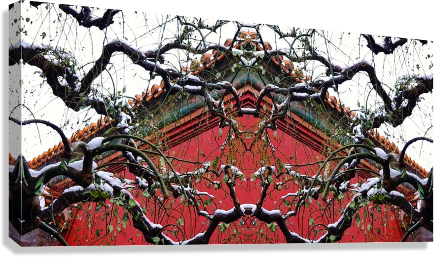 WINTER CHINA - 1.1 - canvas print