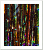 BAMBOO - 1.4 - framed print