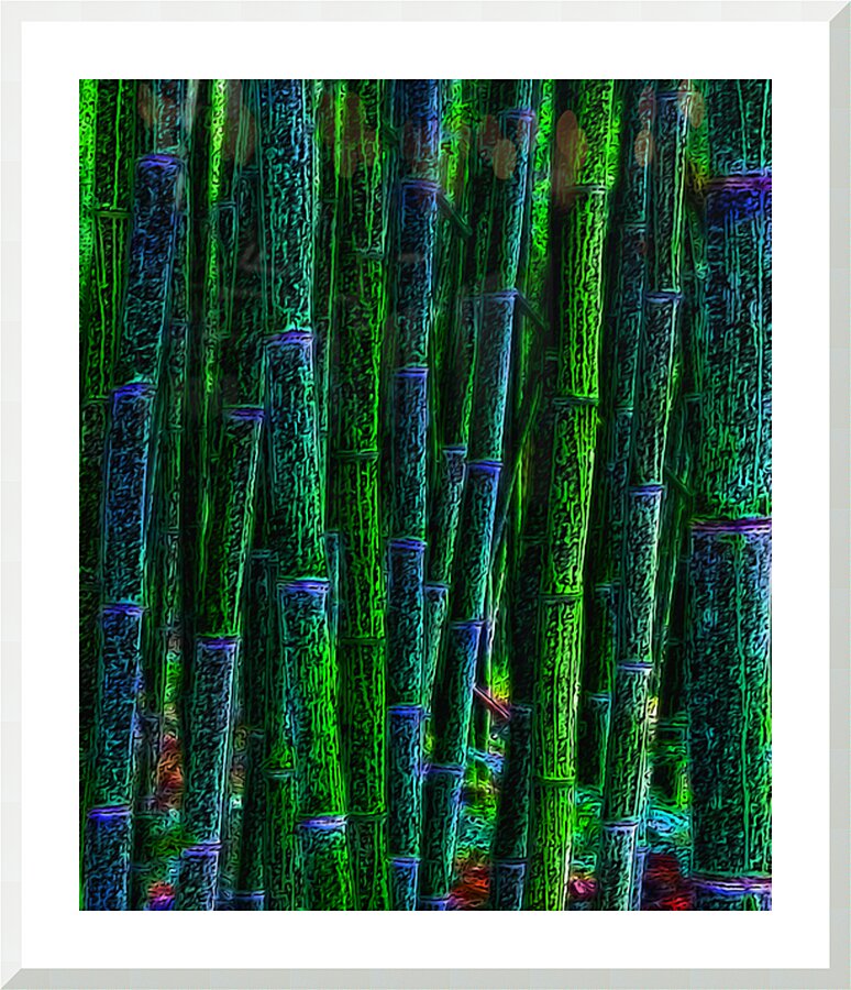 BAMBOO - 1.1 - framed print