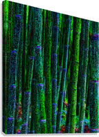 BAMBOO - 1.1 - canvas print