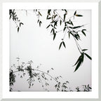 MEDITATION - 1.9 - framed print