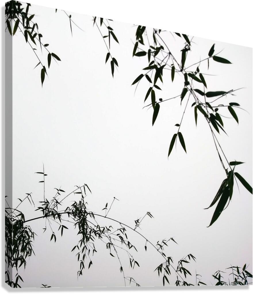 MEDITATION - 1.9 - canvas print