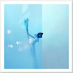 GLANCE - 1001.3 framed print