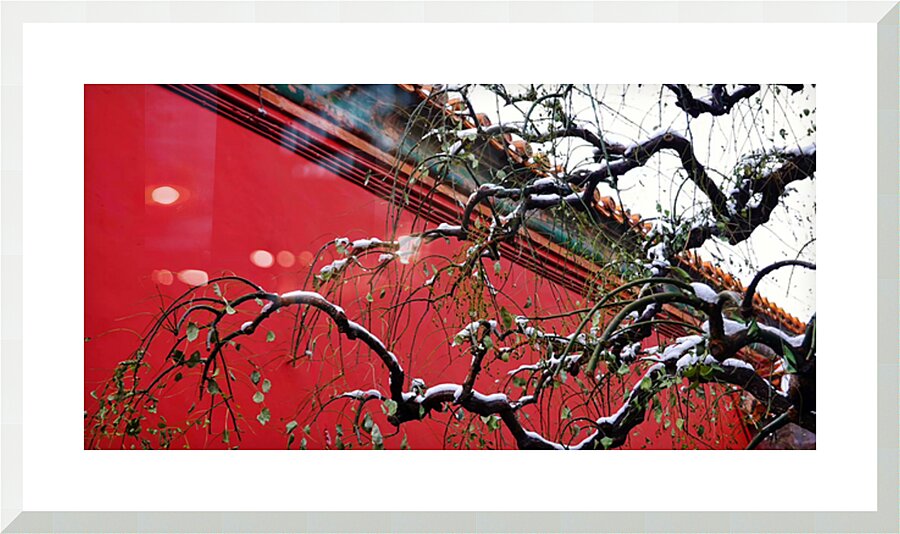 WINTER CHINA - 1.3 - framed print