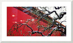 WINTER CHINA - 1.3 - framed print