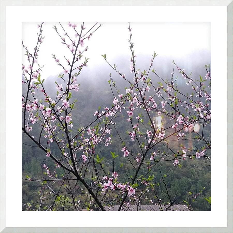 MEDITATION - 1.4 - framed print