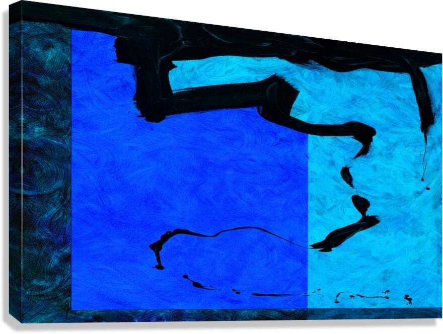CONTACT FIELD - 1.1 - canvas print