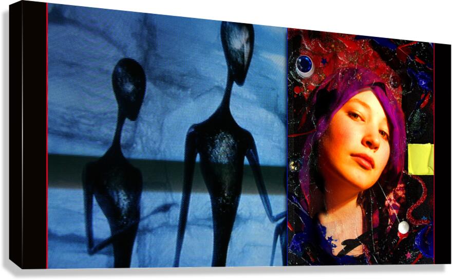 PORTRAIT - 7.3 - canvas print