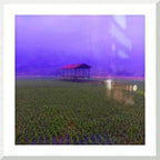 FIELD - 1.4 - framed print
