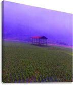 FIELD - 1.4 - canvas print