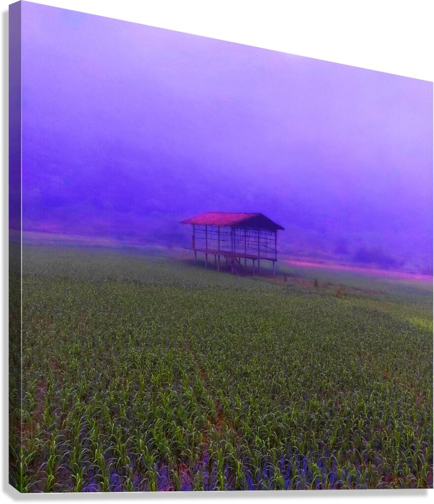 FIELD - 1.4 - canvas print