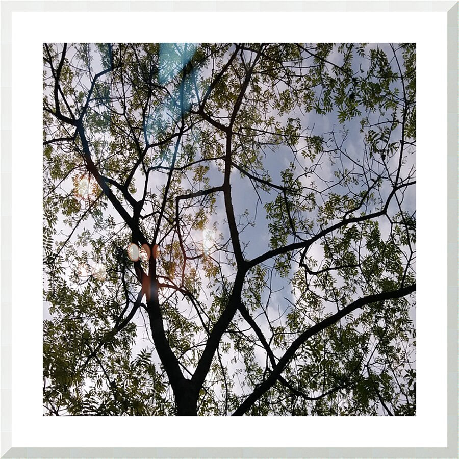 MEDITATION - 1.7 - framed print