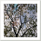 MEDITATION - 1.7 - framed print