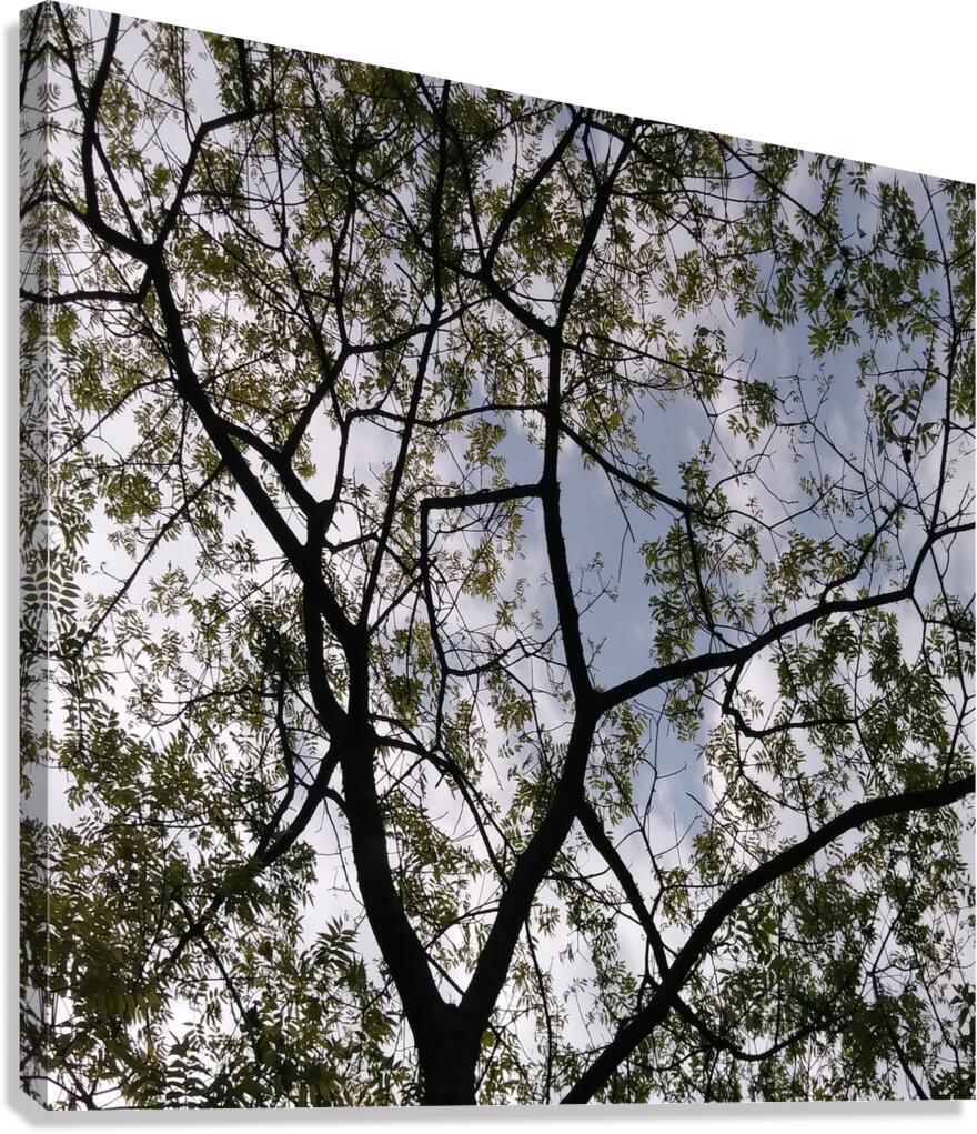 MEDITATION - 1.7 - canvas print