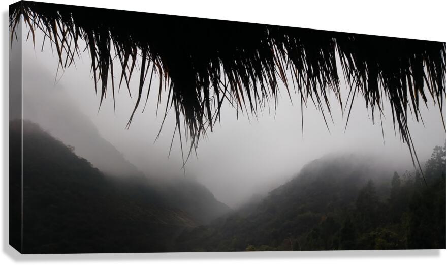 MEDITATION - 1.8 - canvas print