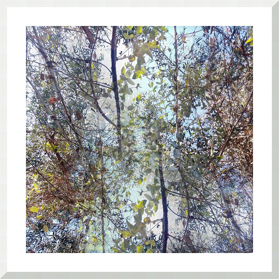 MEDITATION - 1.6 - framed print