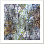 MEDITATION - 1.6 - framed print