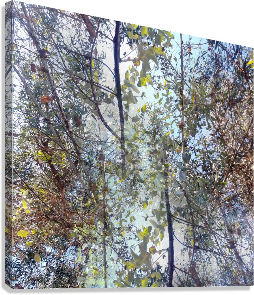 MEDITATION - 1.6 - canvas print