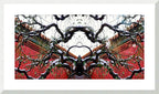 WINTER CHINA - 1.7 - framed print