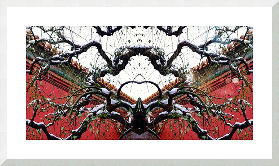 WINTER CHINA - 1.7 - framed print