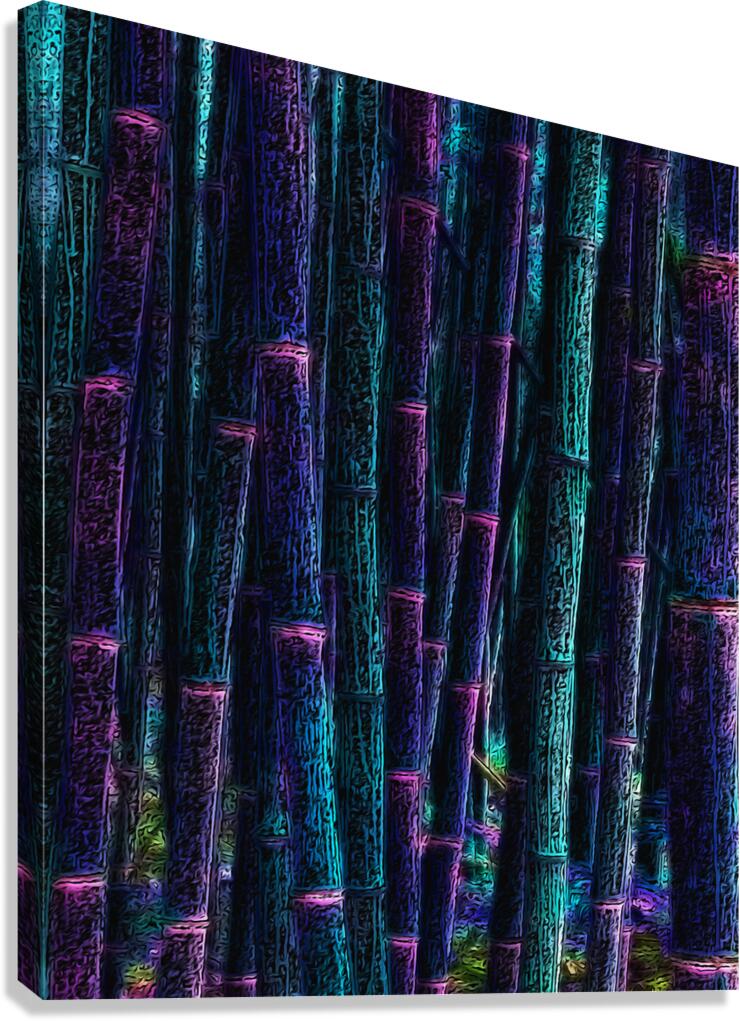 BAMBOO - 1.0 - canvas print