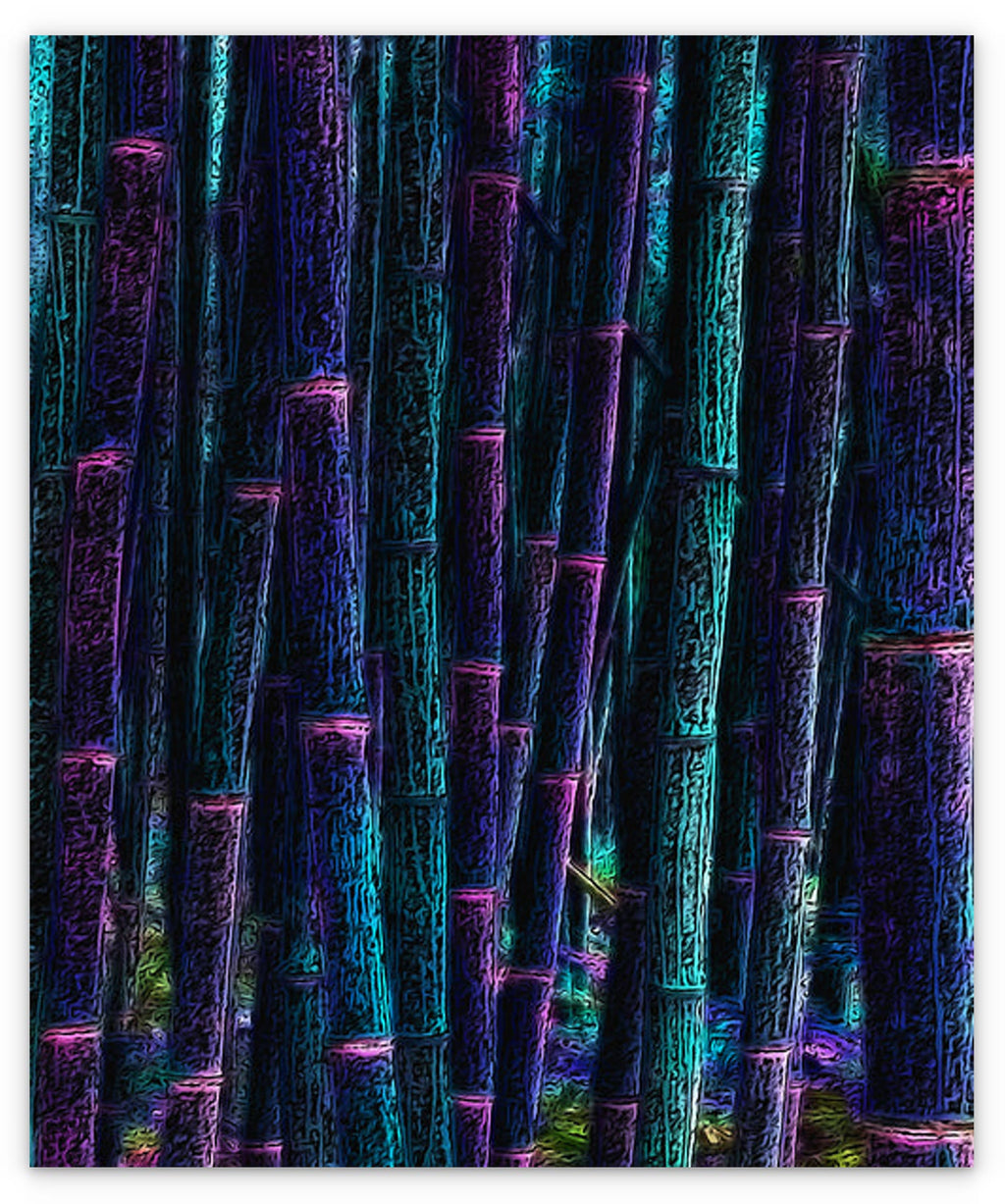BAMBOO - 1.0
