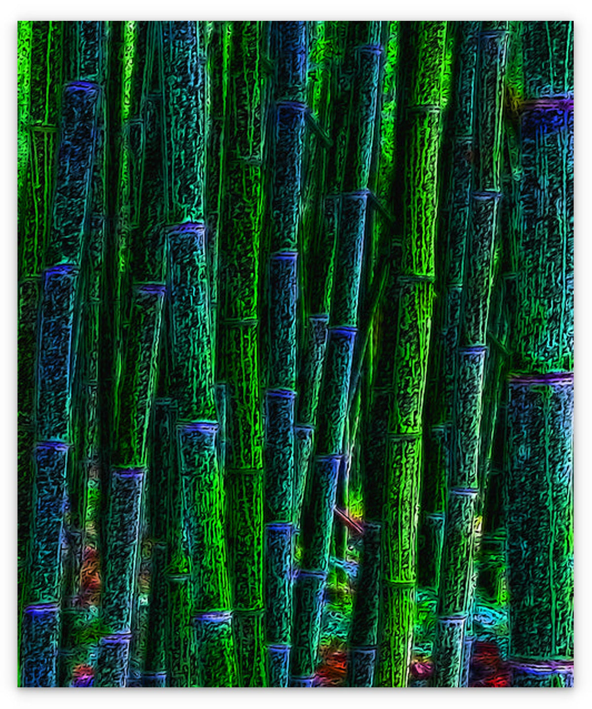 BAMBOO - 1.1
