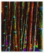 BAMBOO - 1.4