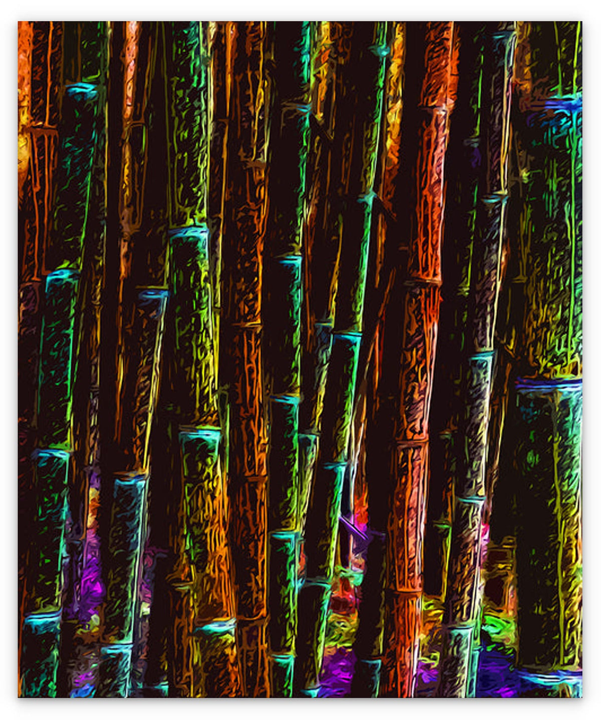 BAMBOO - 1.4