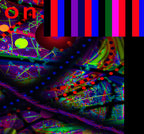 CAN YOU LOVE ME - 1.3 - detail