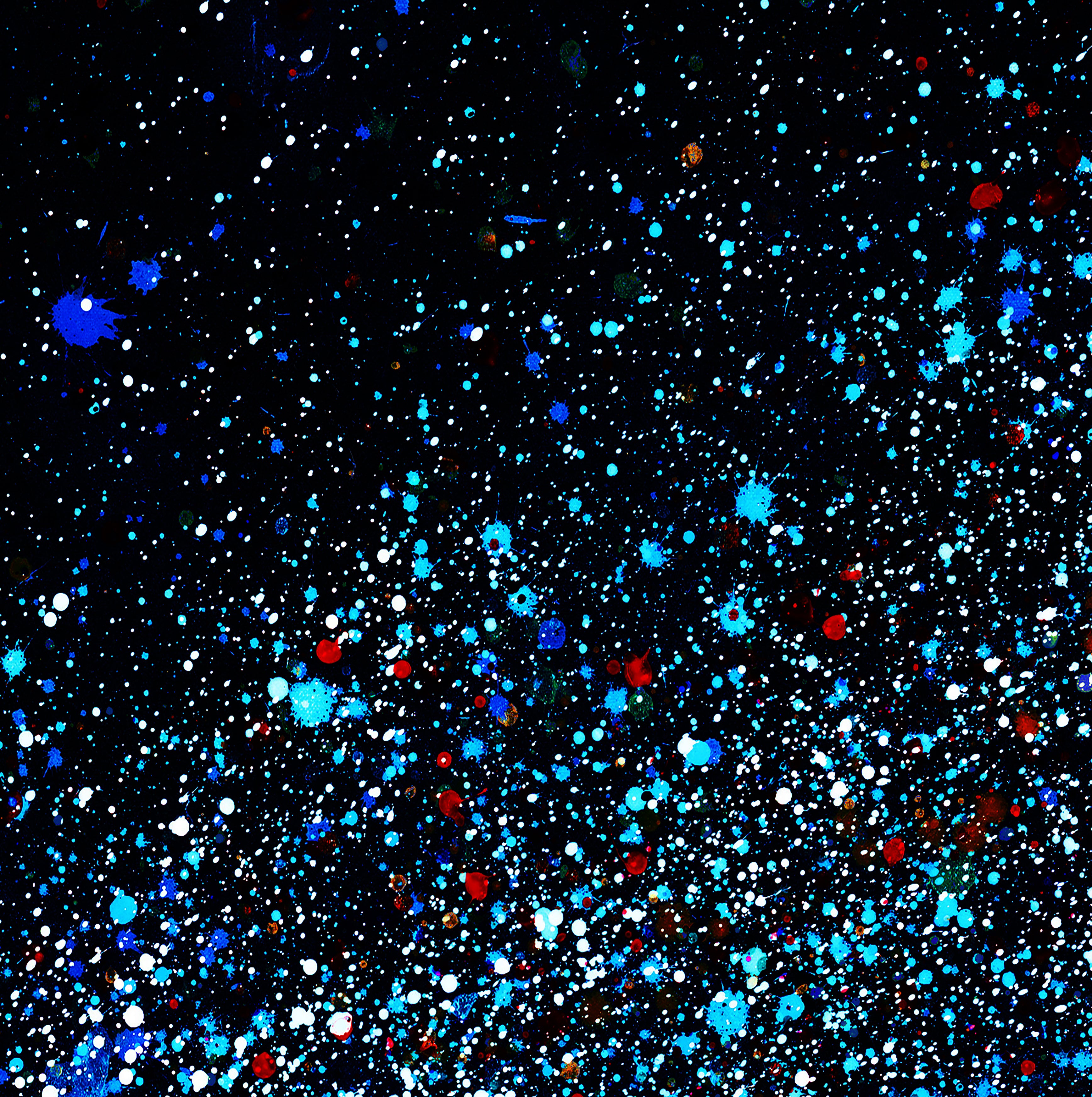 COSMOS - 3.1 - detail