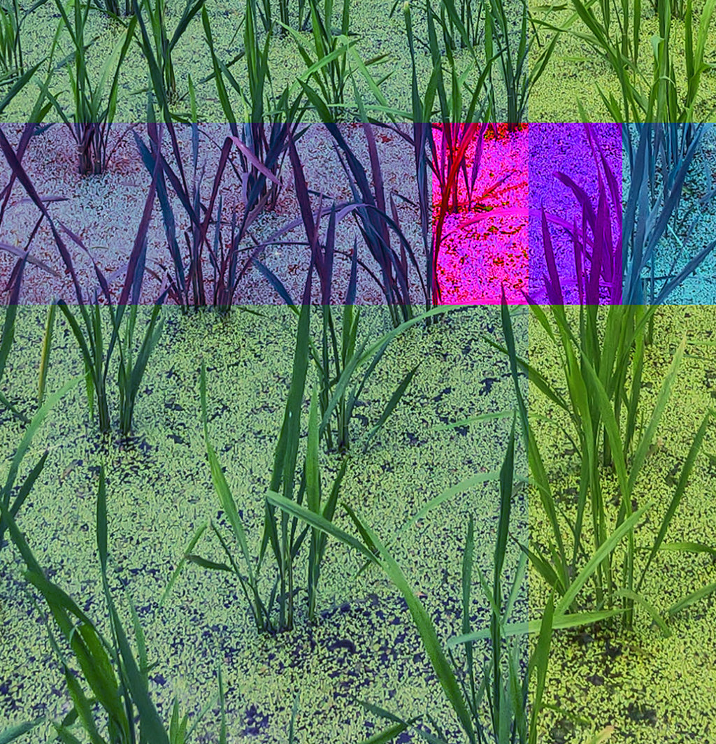 FIELD - 1.3 - detail