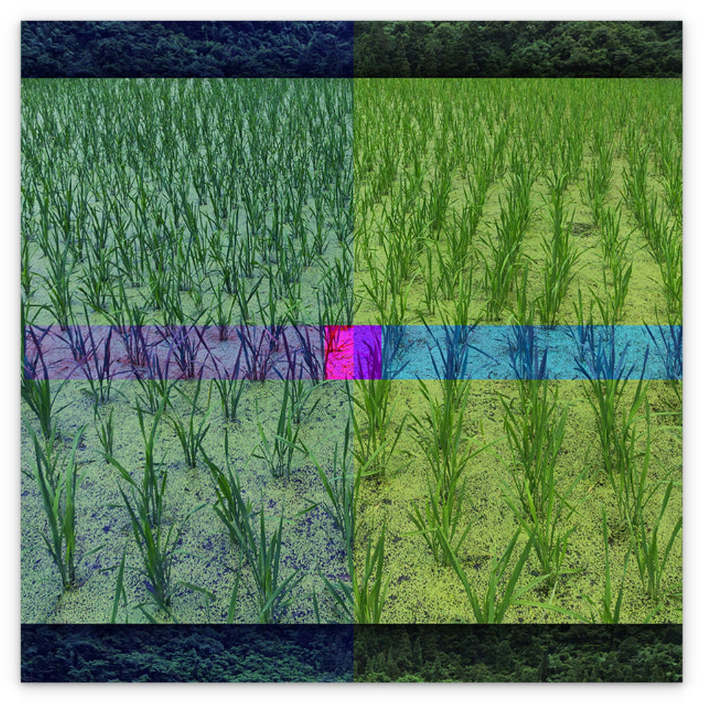 FIELD - 1.3