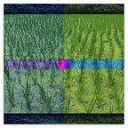 FIELD - 1.3