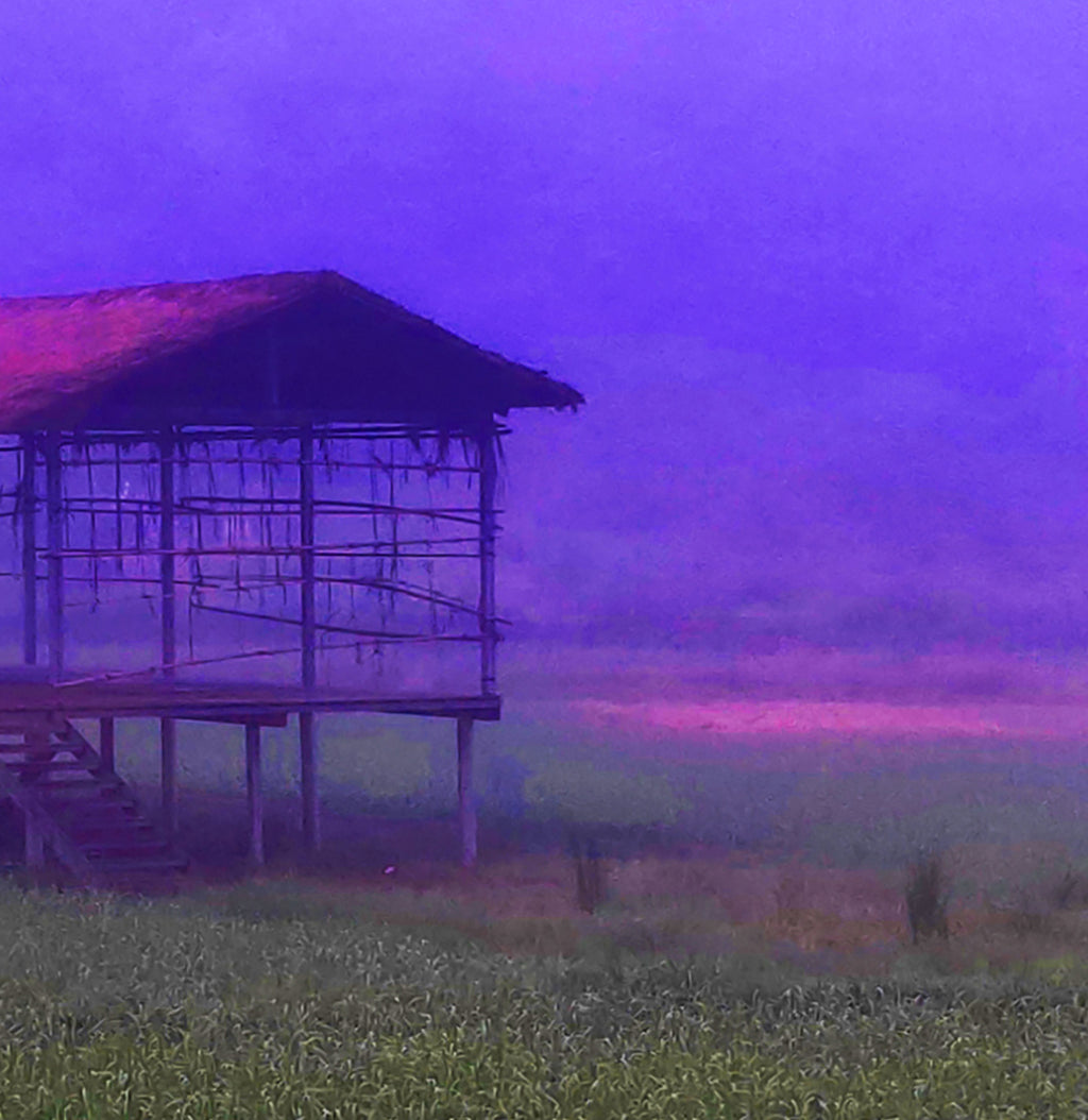 FIELD - 1.4 - detail