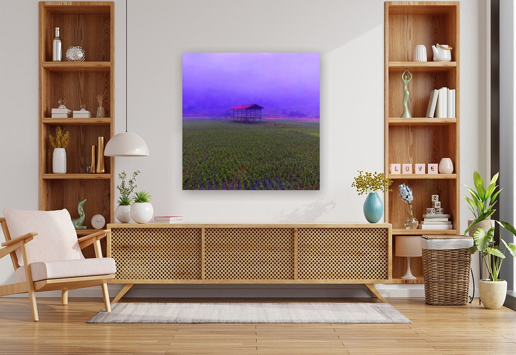 FIELD - 1.4 - shown in a modern living room