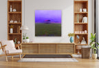 FIELD - 1.4 - shown in a modern living room