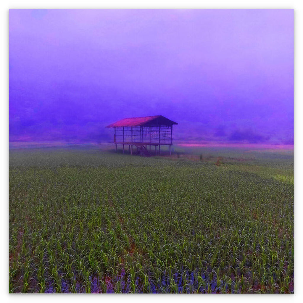 FIELD - 1.4